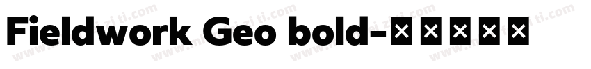 Fieldwork Geo bold字体转换